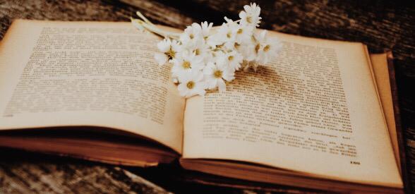 bible